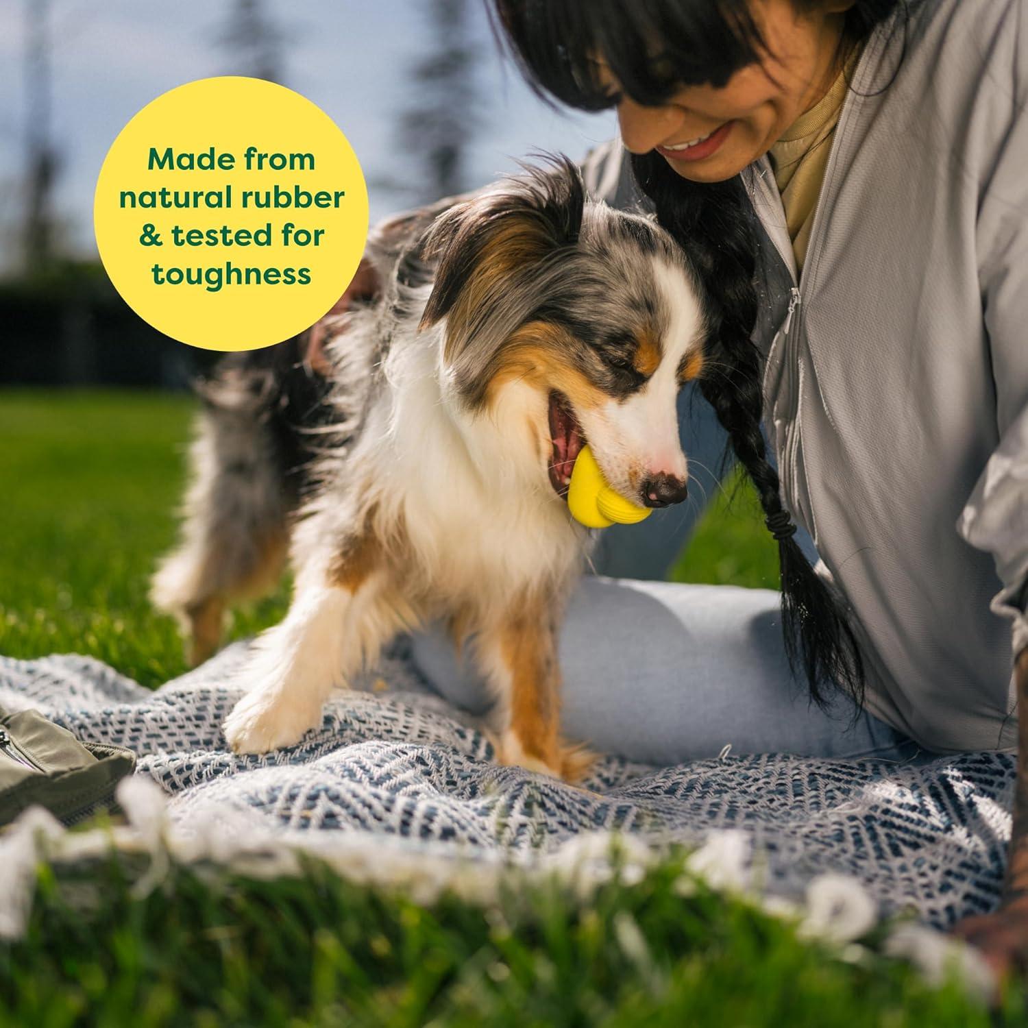 imageEarth Rated Dog Ball Interactive Fetch Toy for All Breeds Comes in Multiple Sizes Made with Natural Rubber Perfect for Indoor and Outdoor Use Medium YellowSmall