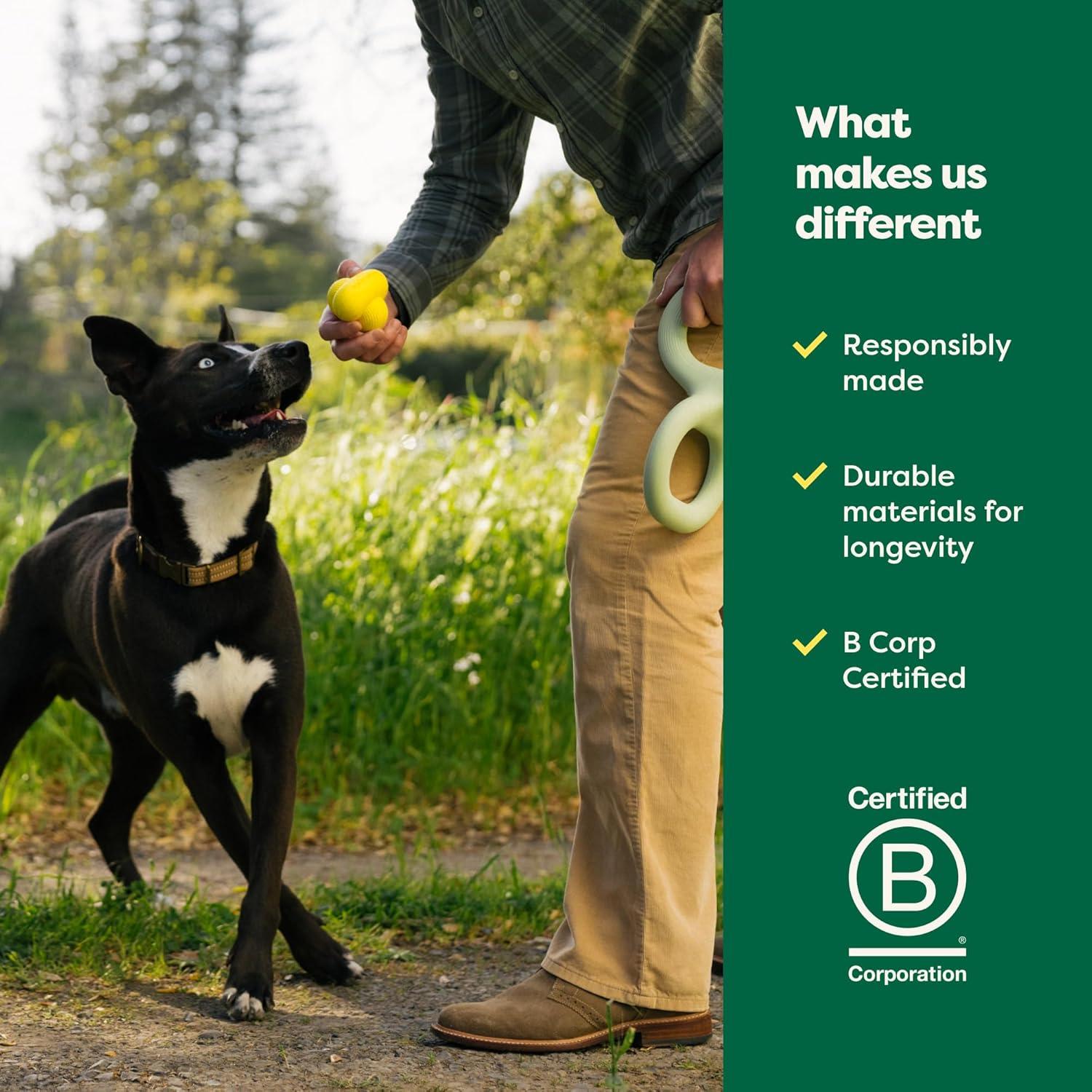 imageEarth Rated Dog Ball Interactive Fetch Toy for All Breeds Comes in Multiple Sizes Made with Natural Rubber Perfect for Indoor and Outdoor Use Medium YellowSmall