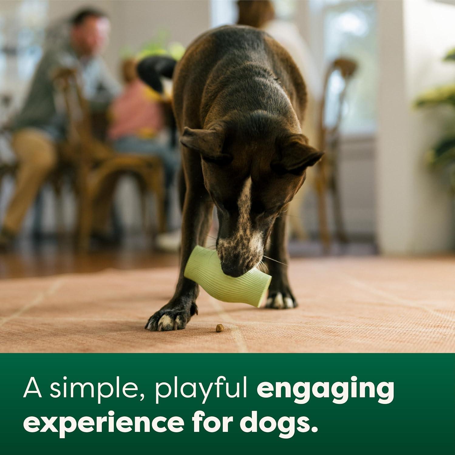 imageEarth Rated Large Dog Enrich ampamp Engage Bundle Large Dog Treat Toy ampamp Tug Toy