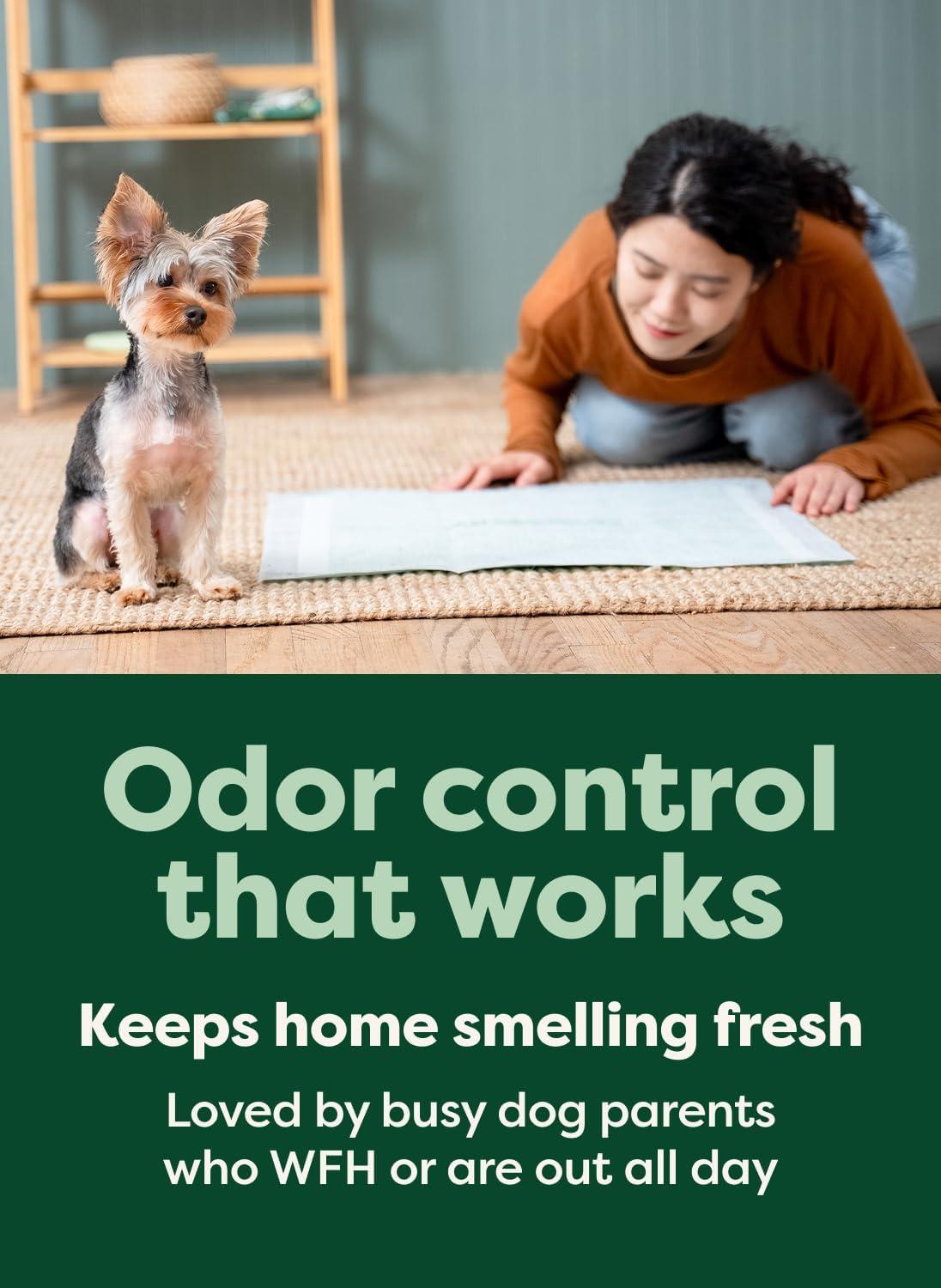 imageEarth Rated Max Absorbency Puppy Pee Pads for Dogs Absorbs 2X Faster ampamp 2X More LeakProof Odor Control Potty Training Unscented XL 28 x 34 40 CountL 22x23 40ct