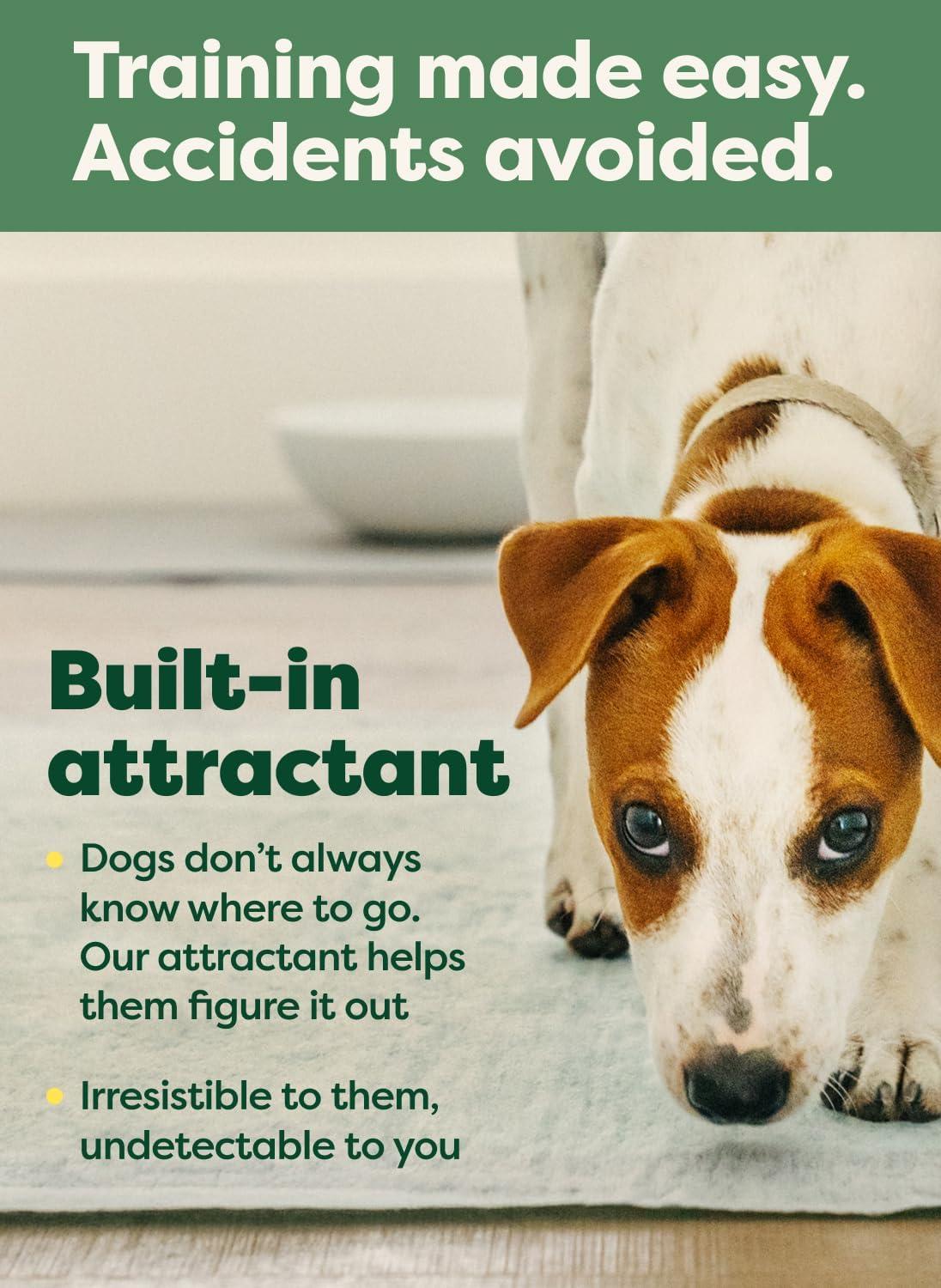 imageEarth Rated Max Absorbency Puppy Pee Pads for Dogs Absorbs 2X Faster ampamp 2X More LeakProof Odor Control Potty Training Unscented XL 28 x 34 40 CountL 22x23 40ct