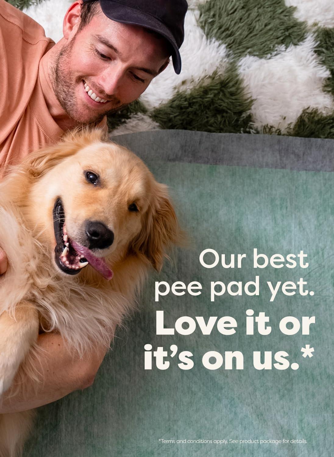 imageEarth Rated Max Absorbency Puppy Pee Pads for Dogs Absorbs 2X Faster ampamp 2X More LeakProof Odor Control Potty Training Unscented XL 28 x 34 40 CountL 22x23 40ct