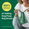 Earth Rated Dog Poop Bags with Handles on Refill Rolls, Easy-Tie on a Compact Roll, Extra Wide Opening, Guaranteed Leak-Proof, Unscented, 105 on Rolls(105 Roll Bags)