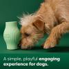 Earth Rated Small Dog Toy Collection, Includes Chew, Fetch, Treat, Flying Disc and Tug of War Toys for Dogs, Small